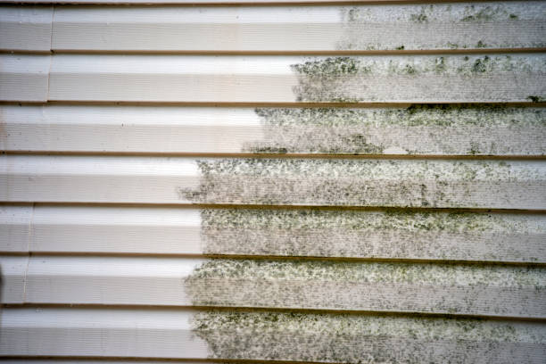 Professional Siding Installation & Repair in Cutten, CA